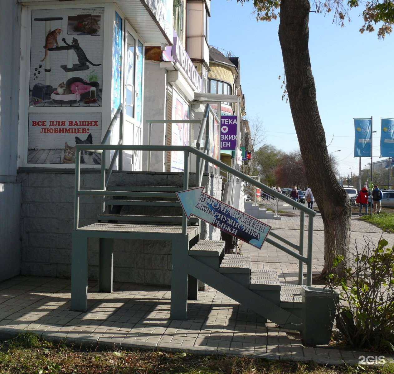 Отзывы на компанию Дельфин в г. Омск c фото