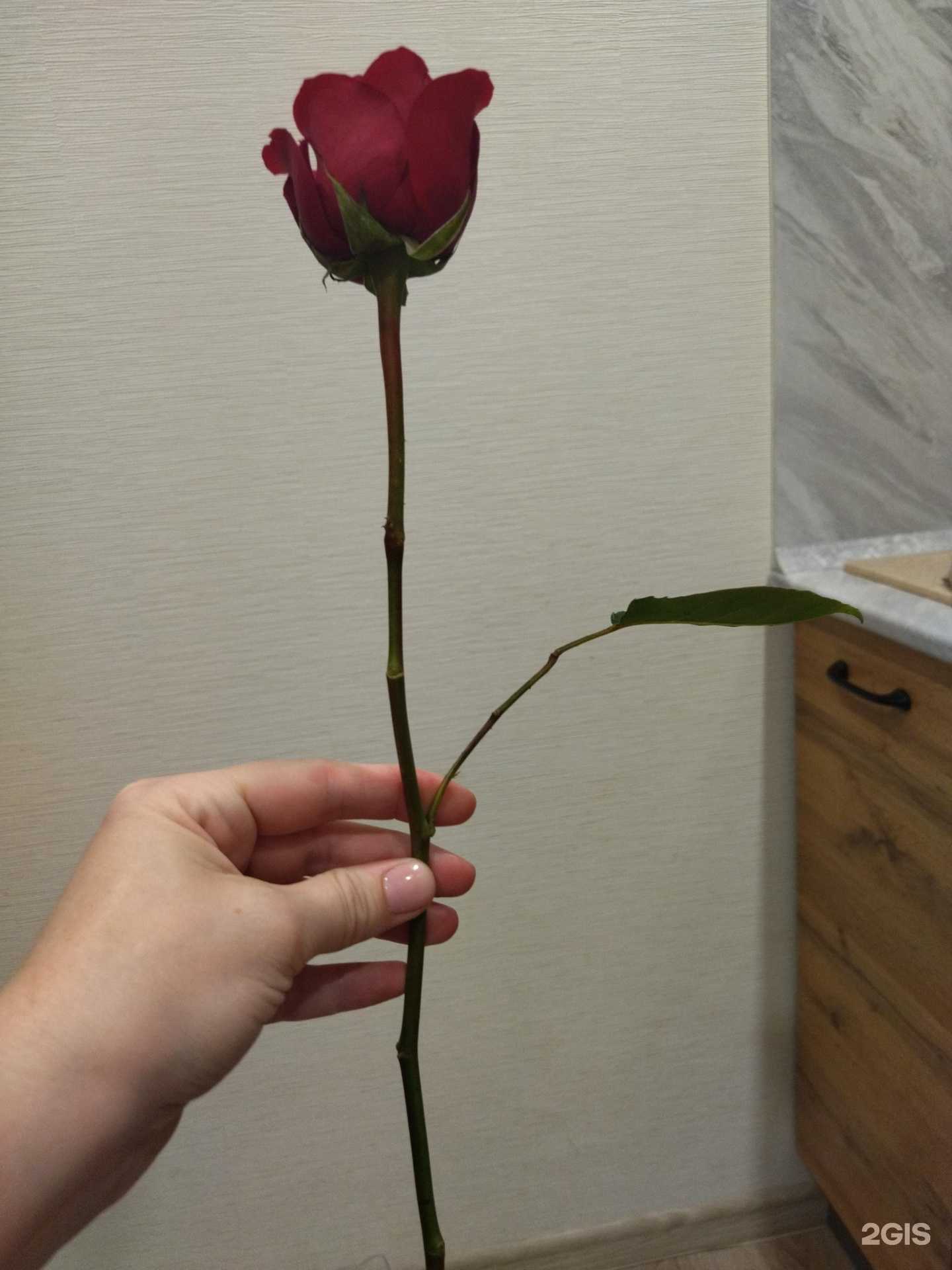 Отзывы на компанию Бритый кактус в Перми c фото