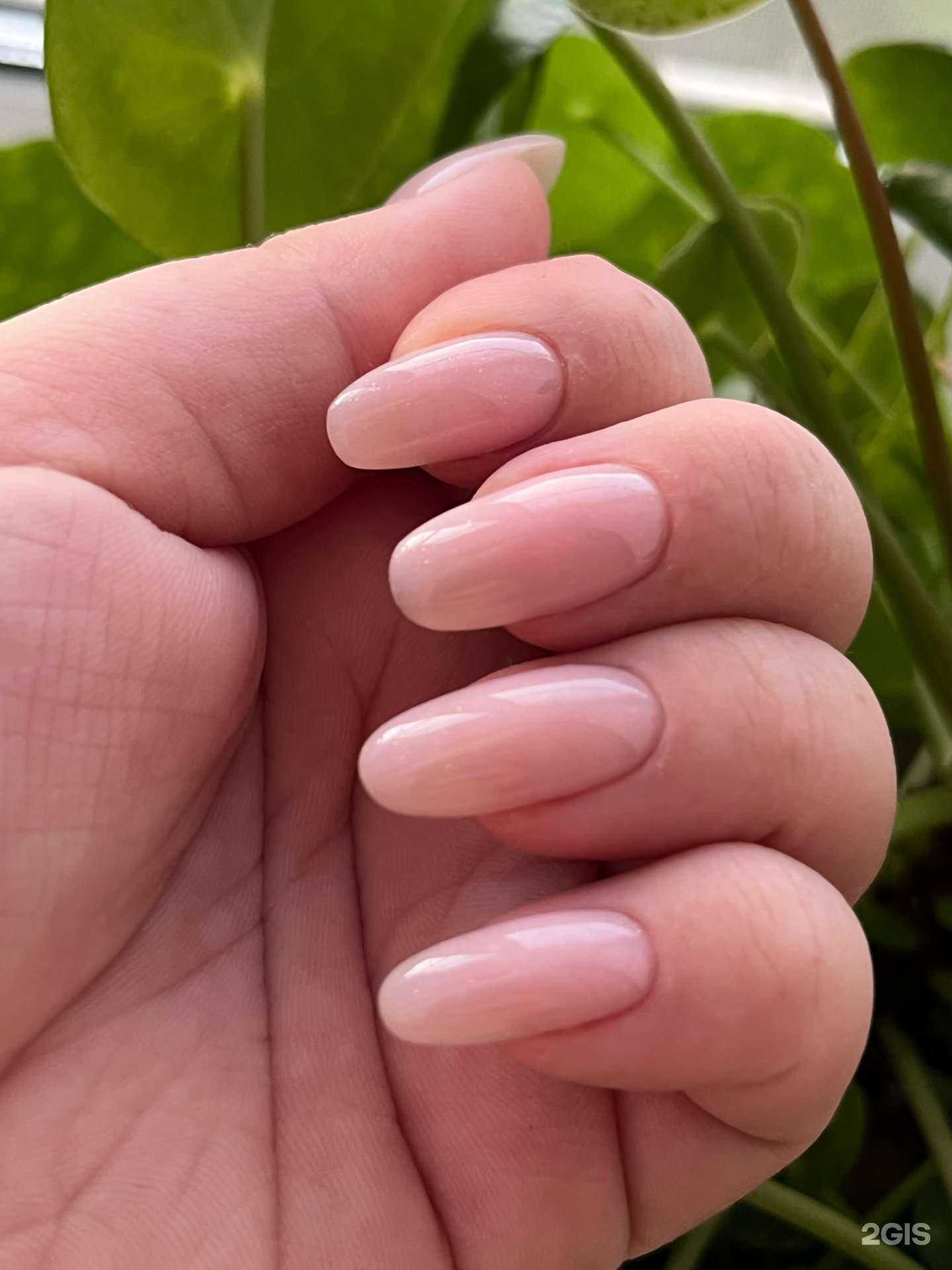 Отзывы на компанию Margo nails в г. Хабаровск c фото