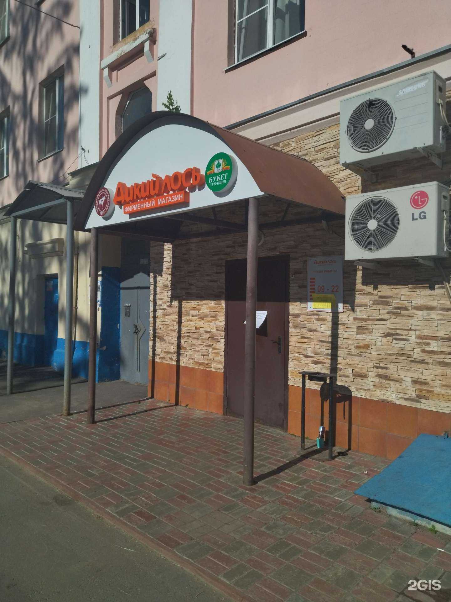 Отзывы на компанию Дикий лось в г. Чебоксары c фото