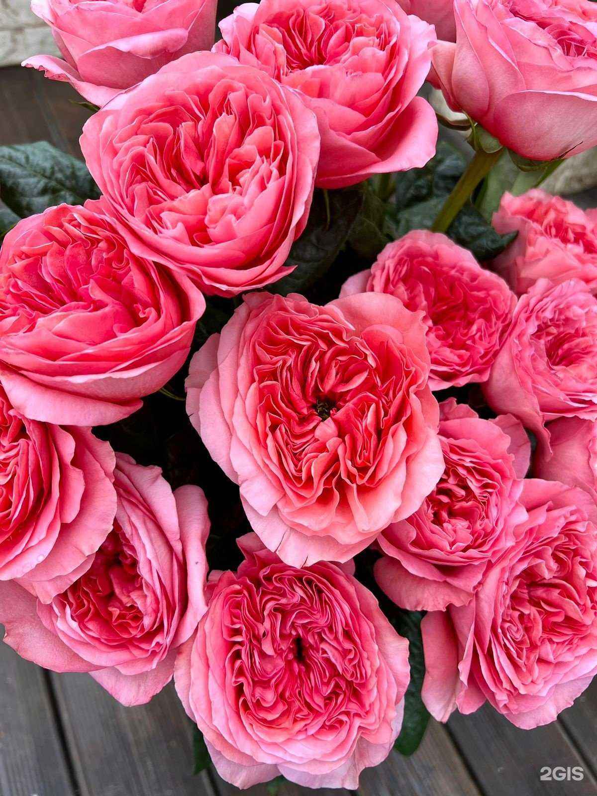 Отзывы на компанию Цветочная в Краснодаре c фото