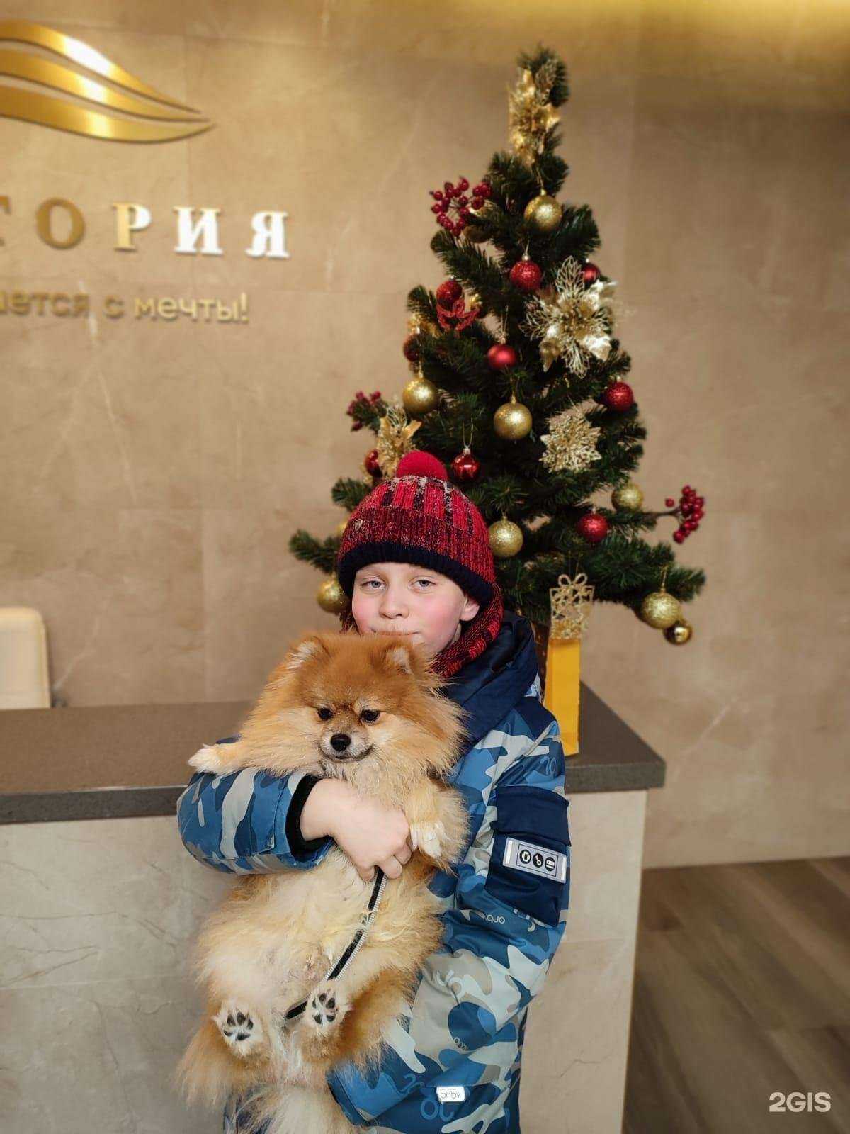 Отзывы на компанию Весело Шагаю в Новосибирске c фото