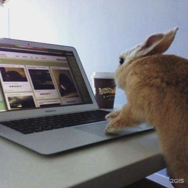 Отзывы на компанию См Псков в г. Псков c фото