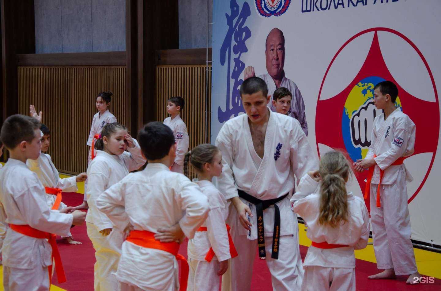 Отзывы на компанию Школа каратэ кёкусинкай-кан Республики Татарстан в Казани c фото