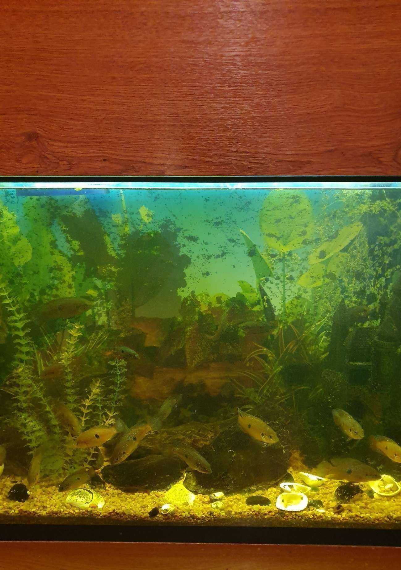 Отзывы на компанию 2000 в Ессентуках c фото