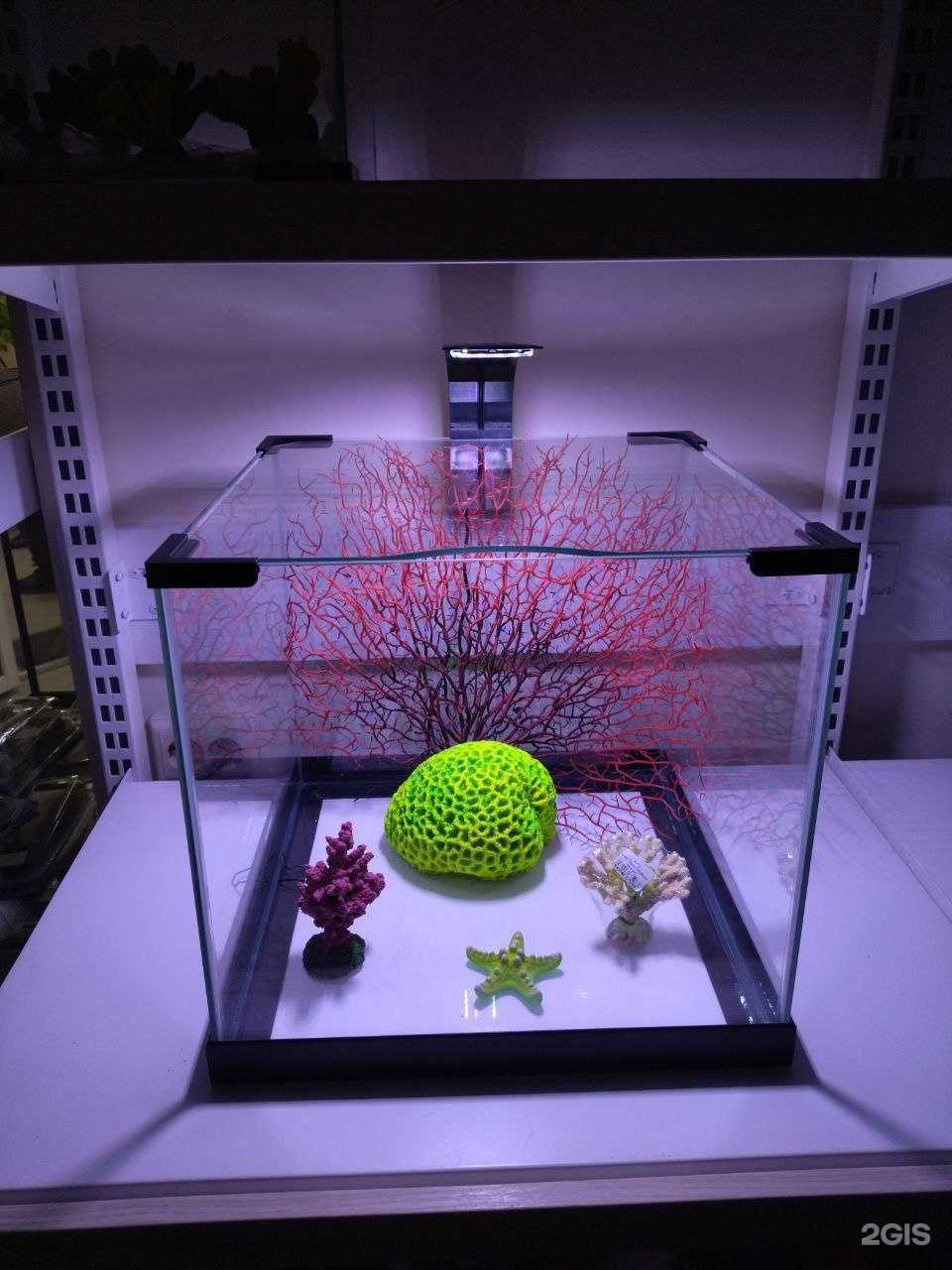 Отзывы на компанию КупиКита в Тюмени c фото