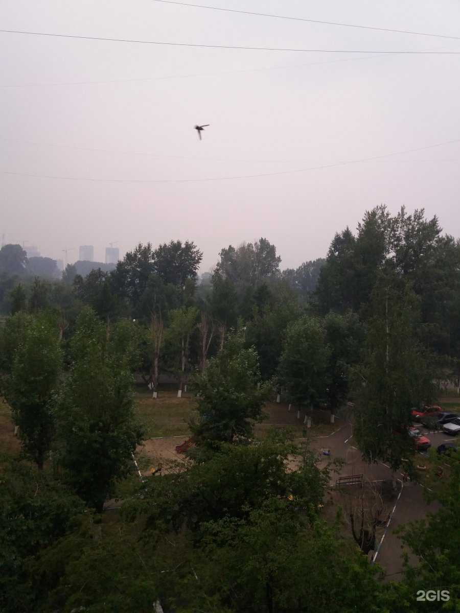 Отзывы на компанию КодВерс в Красноярске c фото - фотография 2 из 2