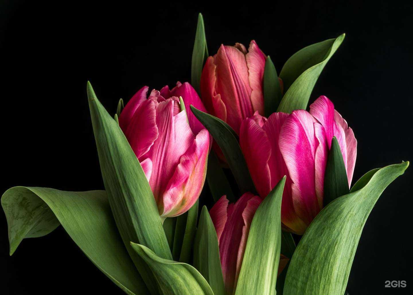 Отзывы на компанию База цветов в г. Коммунарка c фото