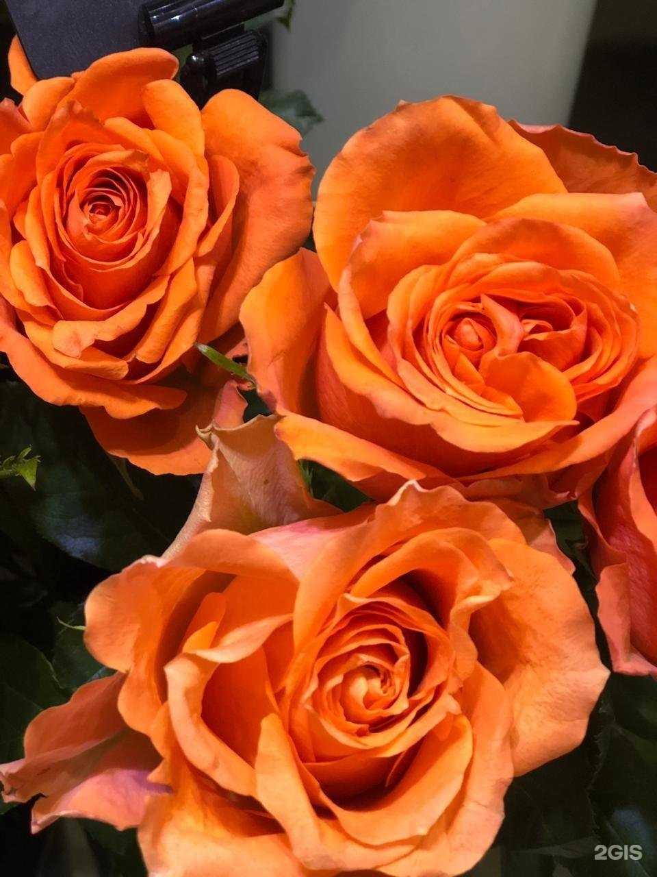 Отзывы на компанию Y-Букет в Гатчине c фото