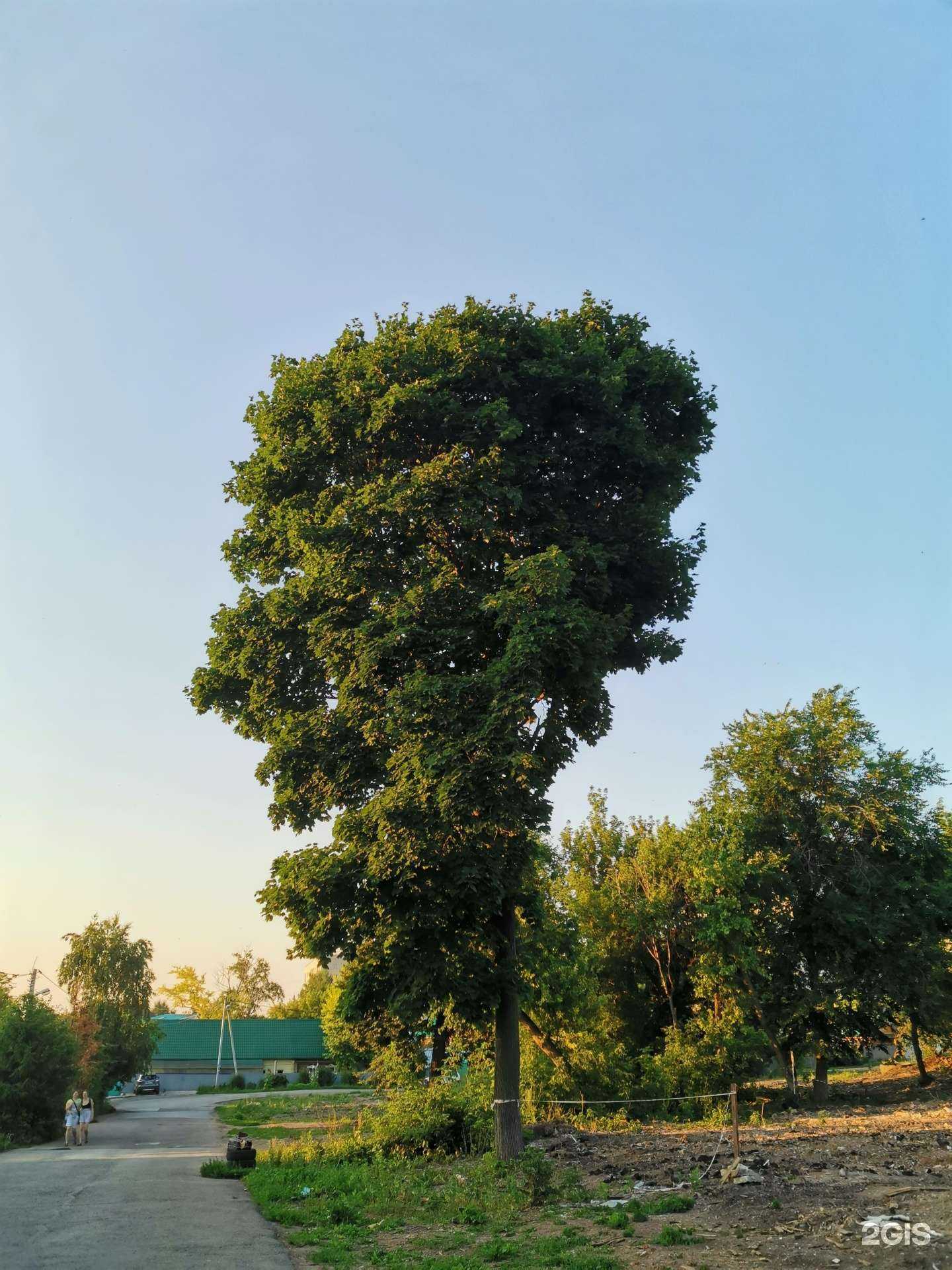 Отзывы на компанию Агидель-ИнвестСтрой в Уфе c фото - фотография 2 из 2