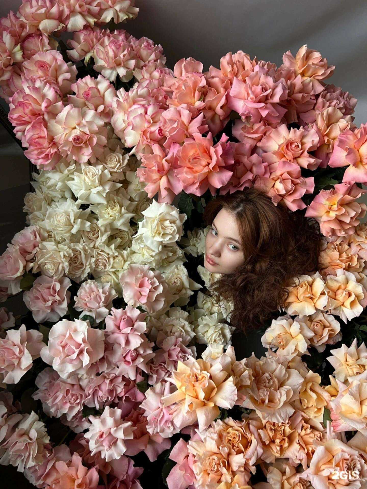 Отзывы на компанию Boutone в Жуковском c фото