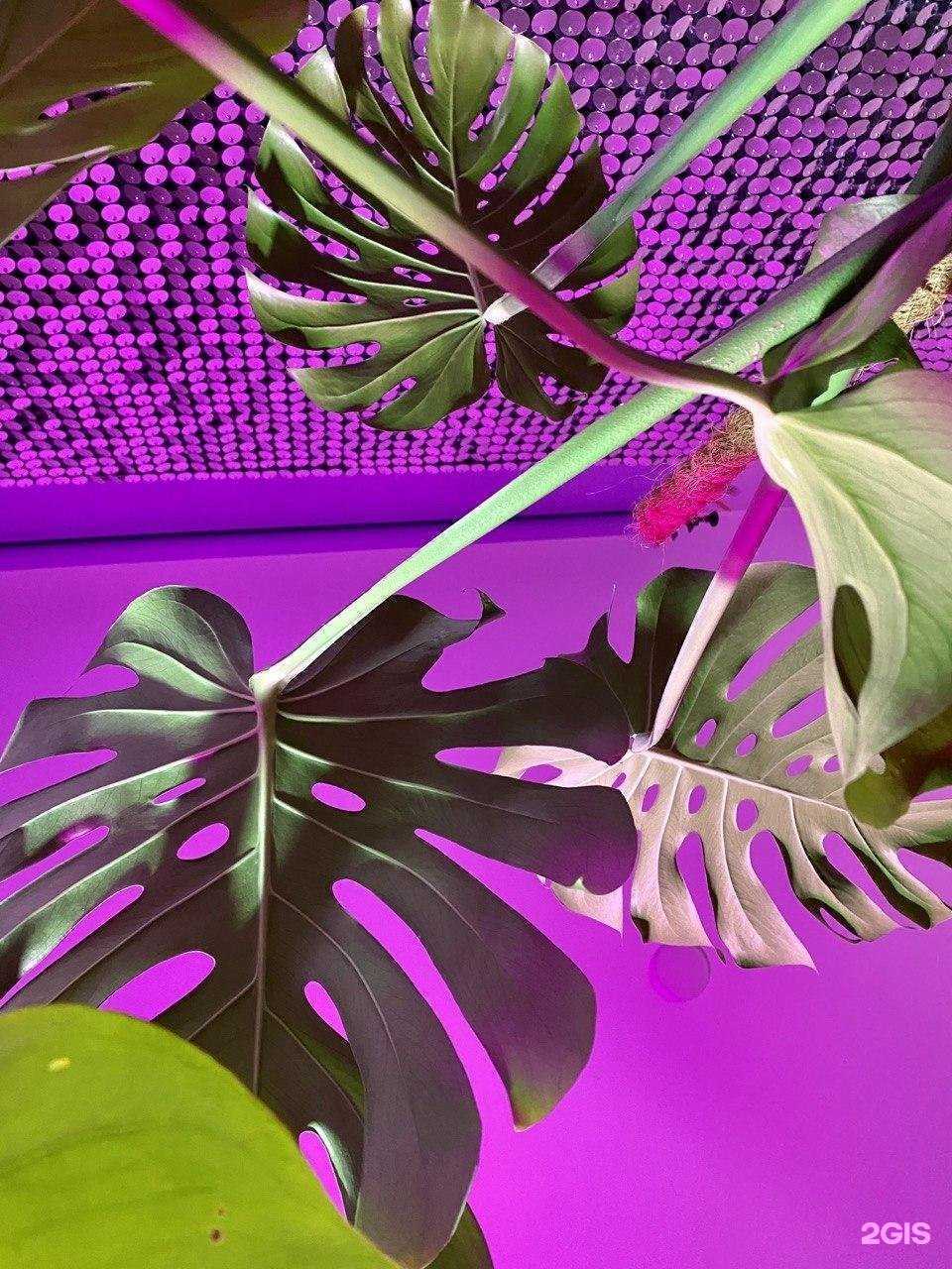 Отзывы на компанию Кайф в г. Пенза c фото