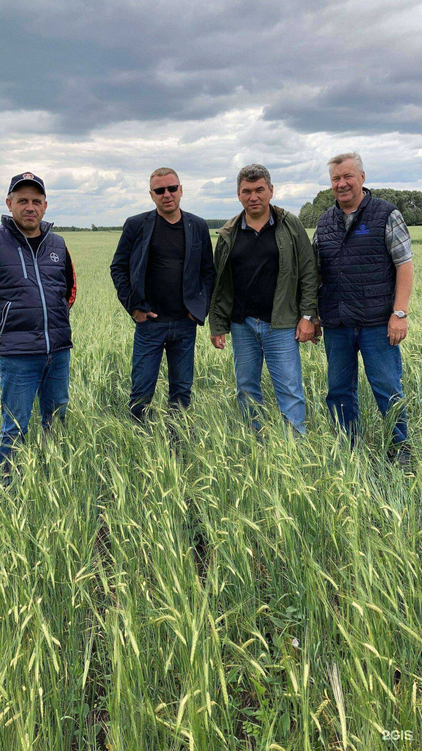 Отзывы на компанию Планта в Тюмени c фото