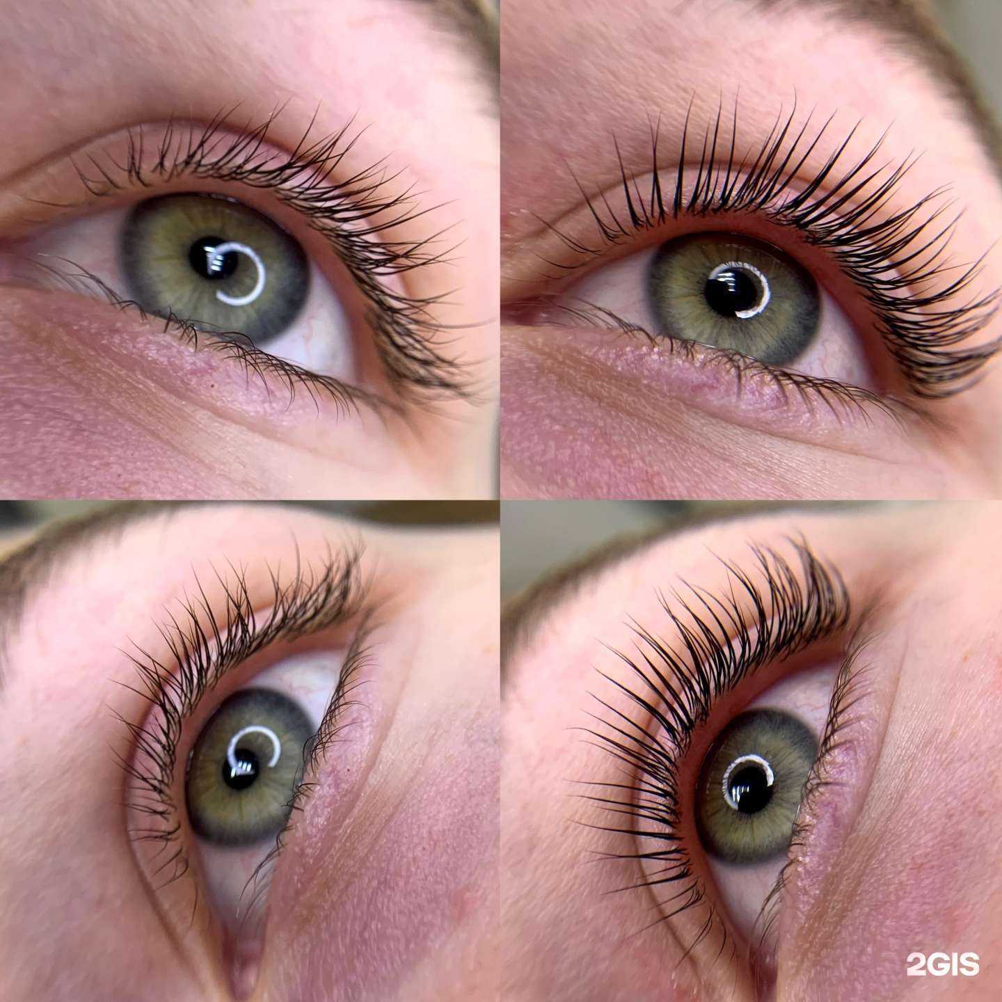 Отзывы на компанию Багира в Краснодаре c фото