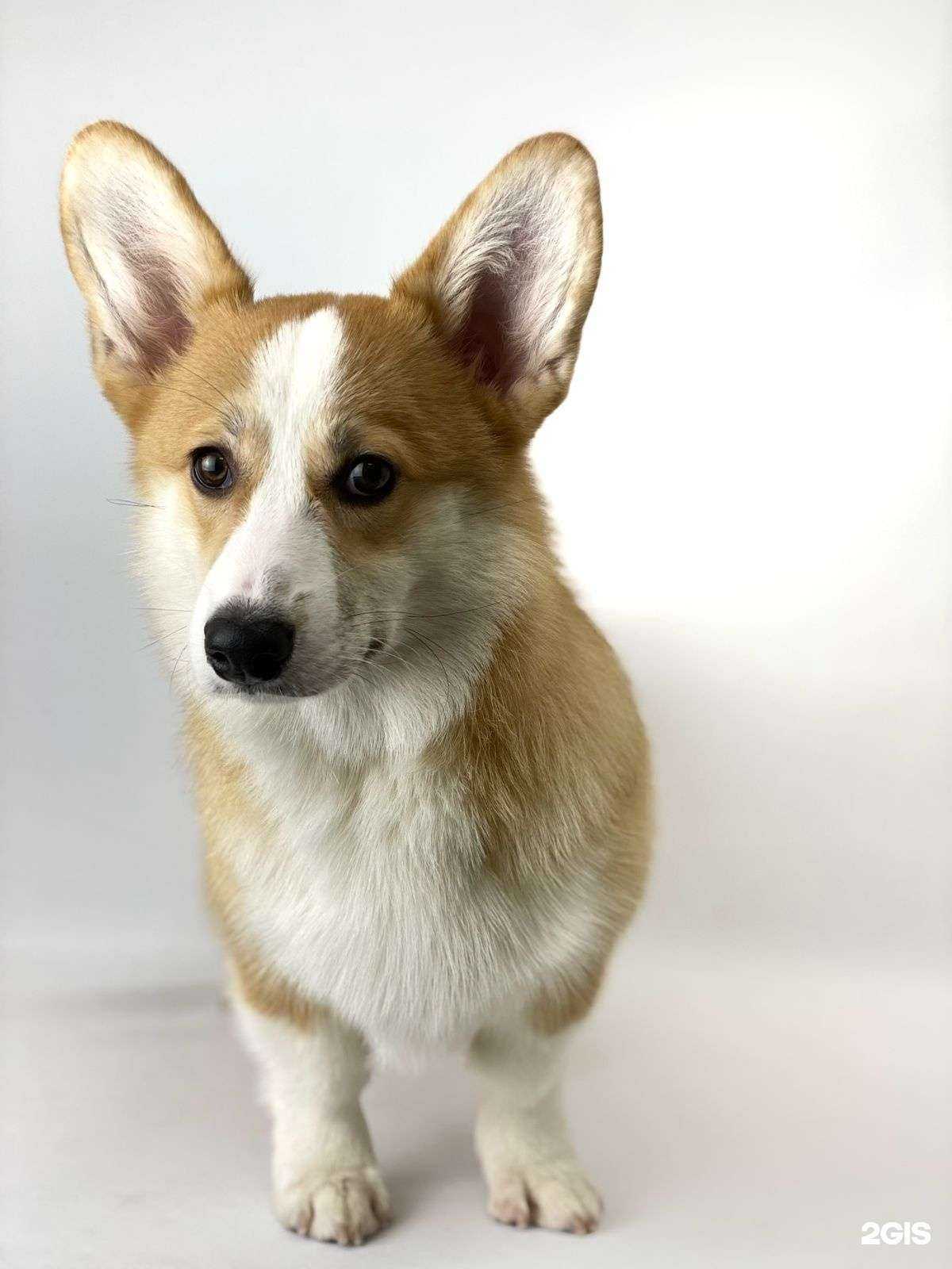 Отзывы на компанию GROOM в Екатеринбурге c фото