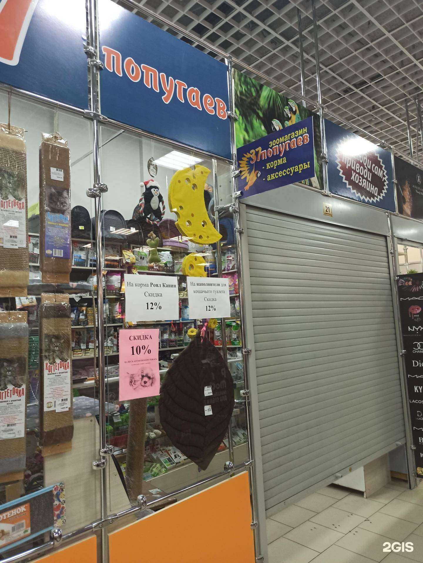 Отзывы на компанию 37 попугаев в Балакове c фото