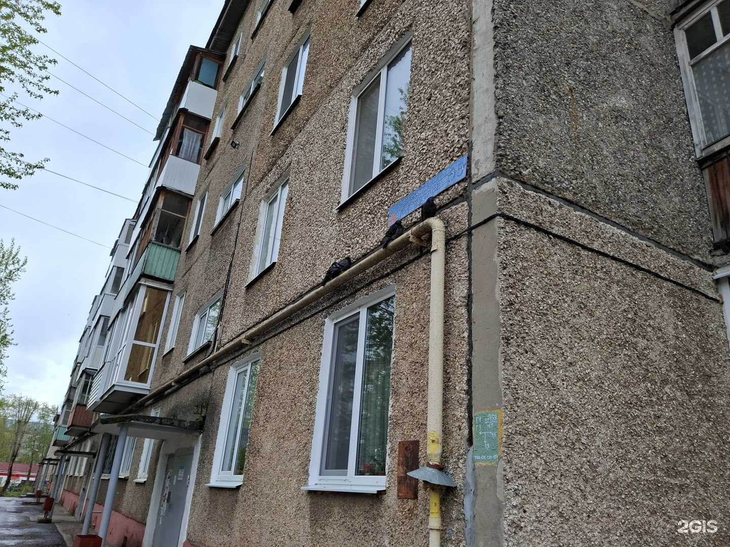 Отзывы на компанию Меланж в Соликамске c фото - фотография 2 из 2