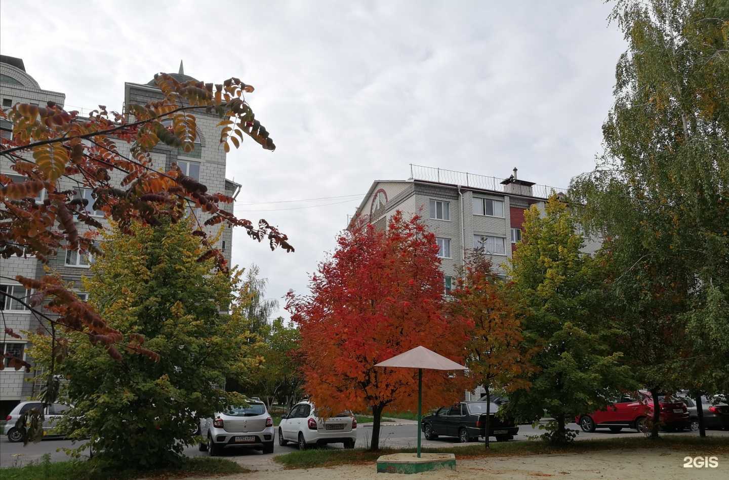 Отзывы на компанию Дентея в Белгороде c фото - фотография 2 из 2