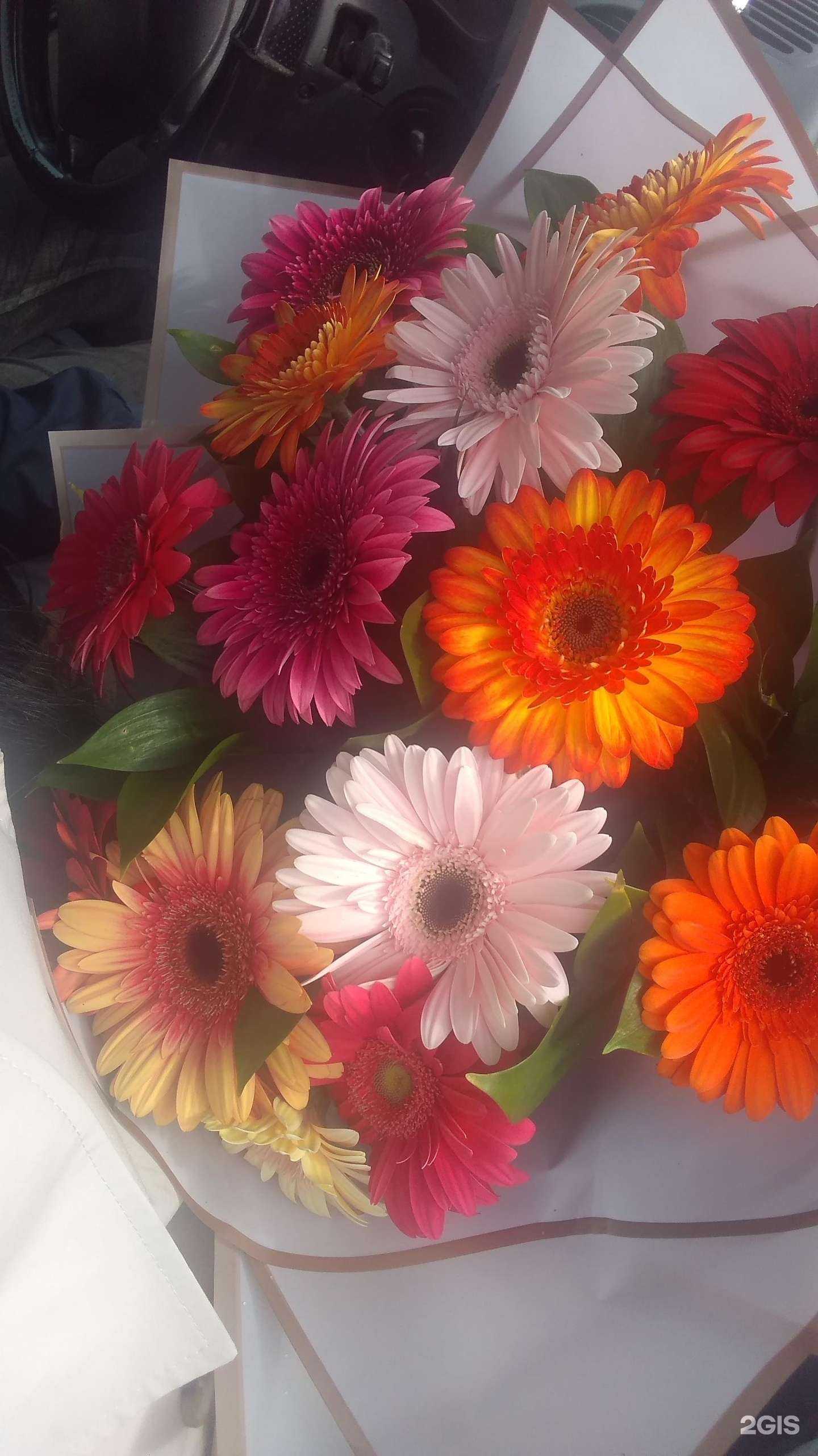 Отзывы на компанию 101 роза в Ессентуках c фото