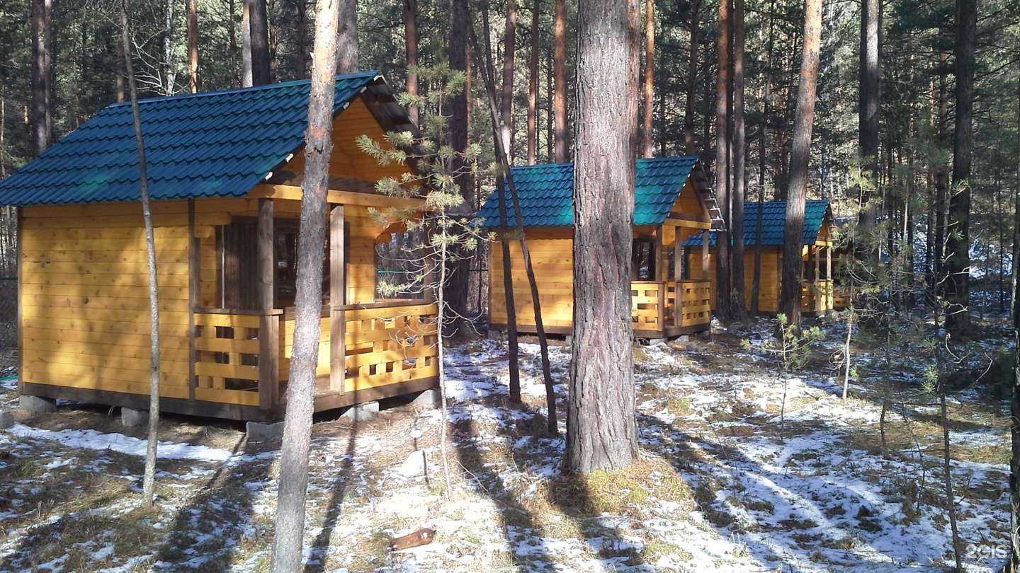 Отзывы на компанию Евролюкс в г. Бийск c фото