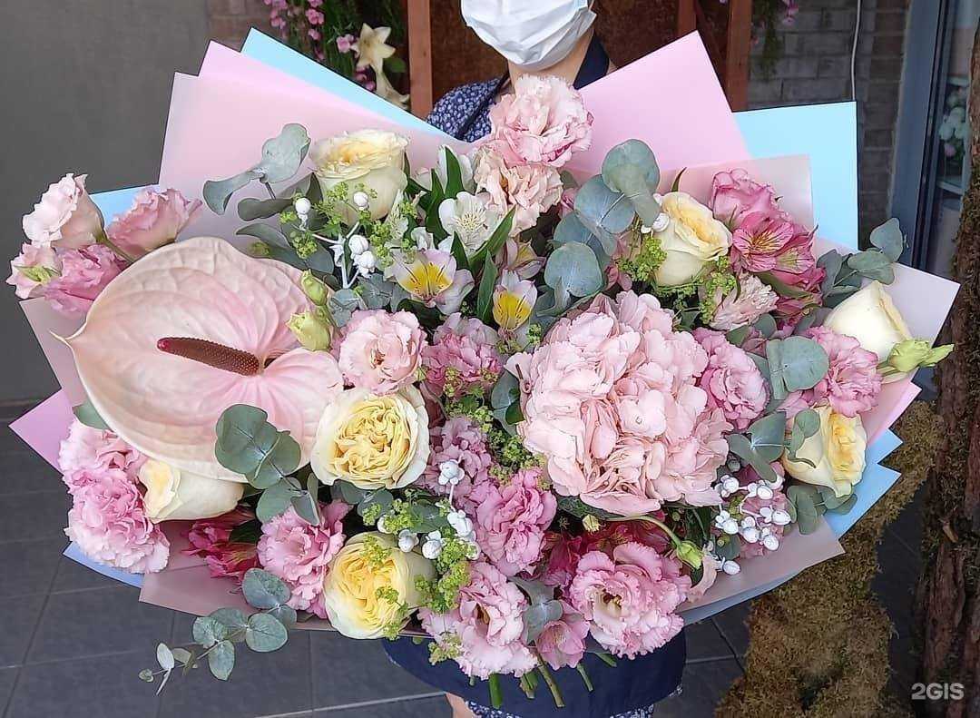 Отзывы на компанию Герань в г. Коммунарка c фото