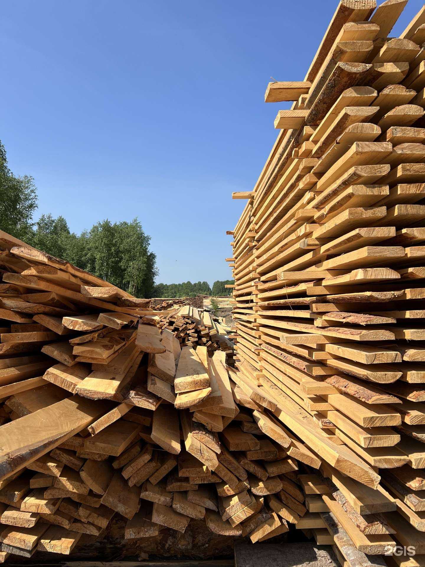 Отзывы на компанию Планета Леса в Омске c фото