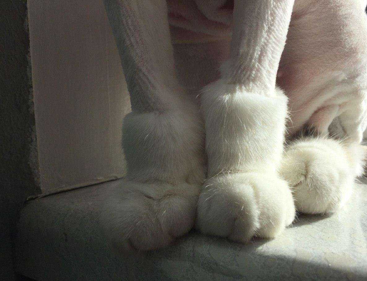 Отзывы на компанию ProХвост в Находке c фото