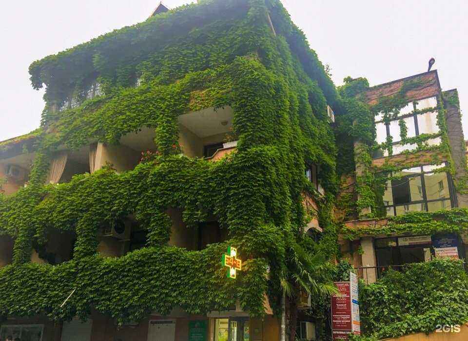 Отзывы на компанию Полиглот и К в Сочи c фото - фотография 2 из 2