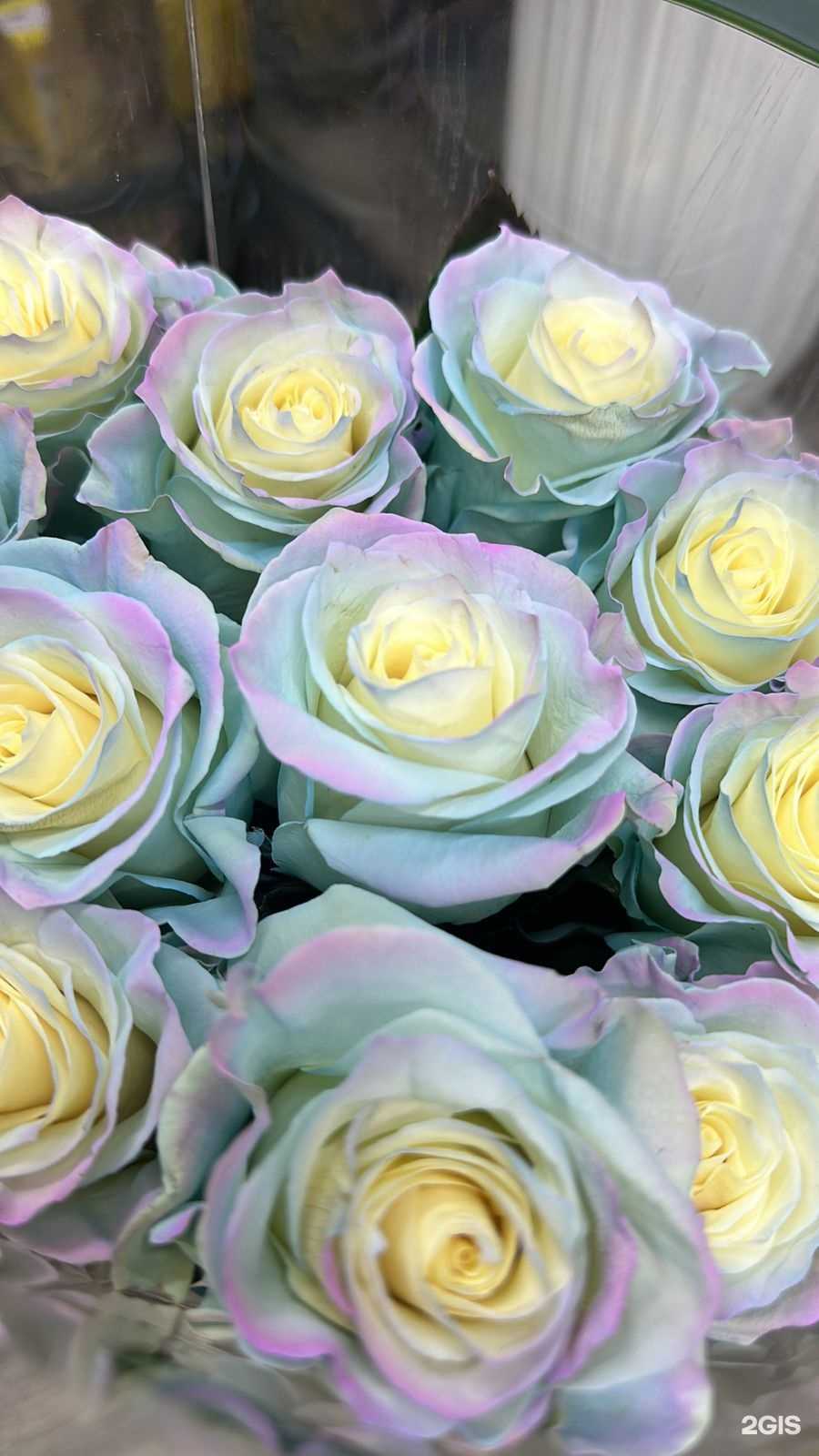 Отзывы на компанию Банч в г. Кемерово c фото