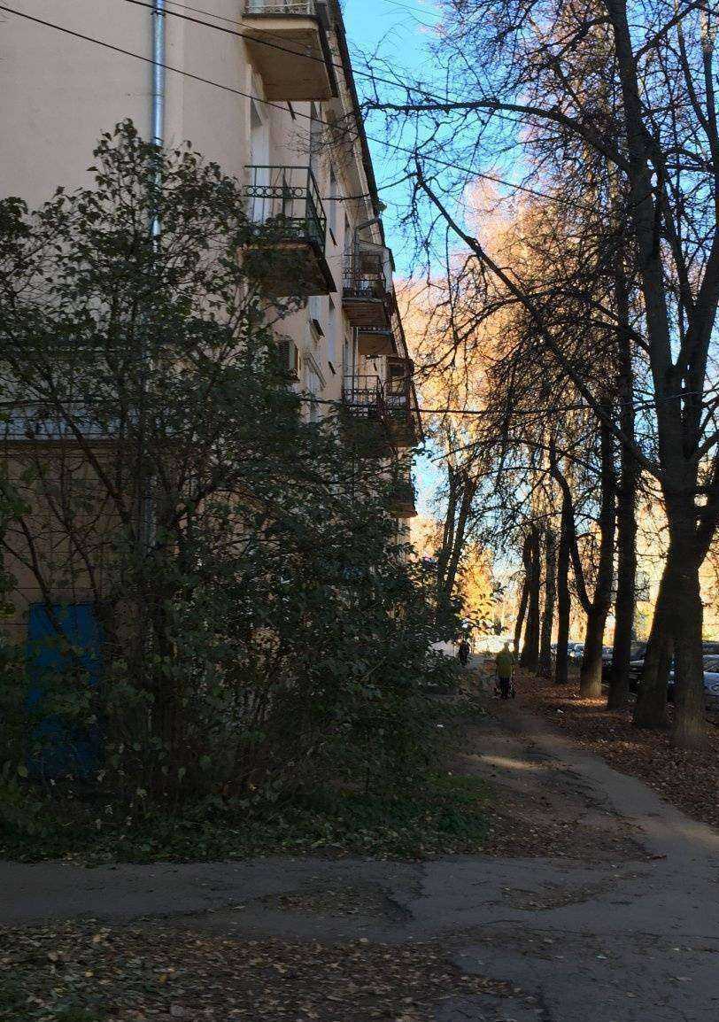 Отзывы на компанию Максавит в Нижнем Новгороде c фото - фотография 2 из 2