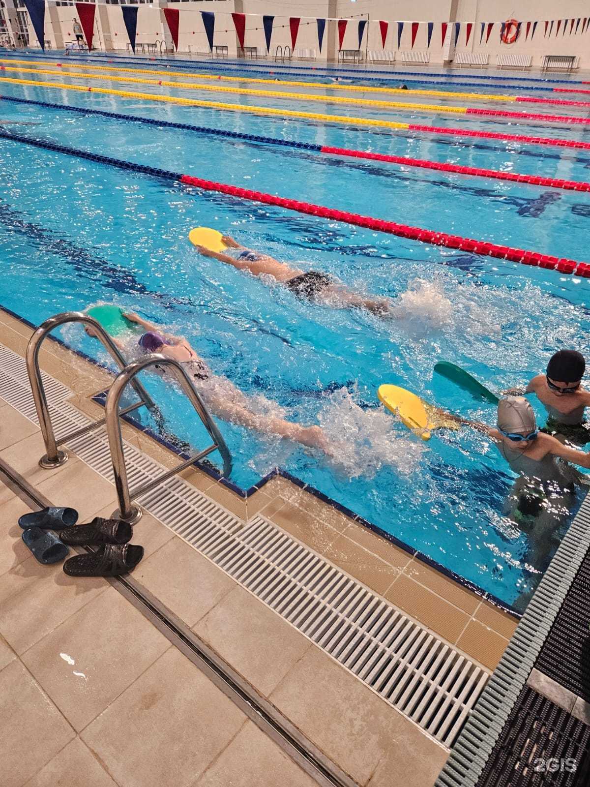 Отзывы на компанию Новосибирская Академия Плавания в Новосибирске c фото