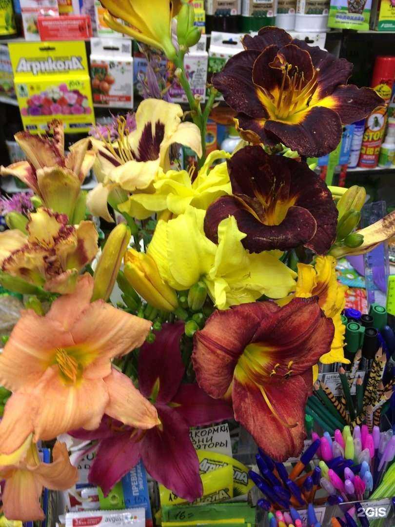 Отзывы на компанию Семицветик в г. Ярославль c фото