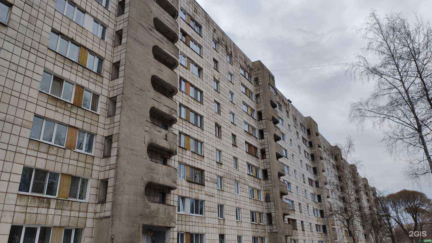 Отзывы на компанию Giraffe в Перми c фото - фотография 2 из 2