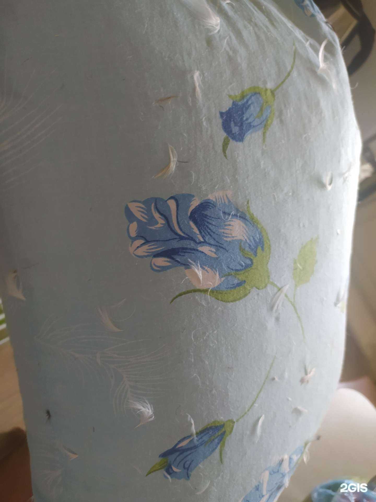 Отзывы на компанию А-Соня в Новосибирске c фото