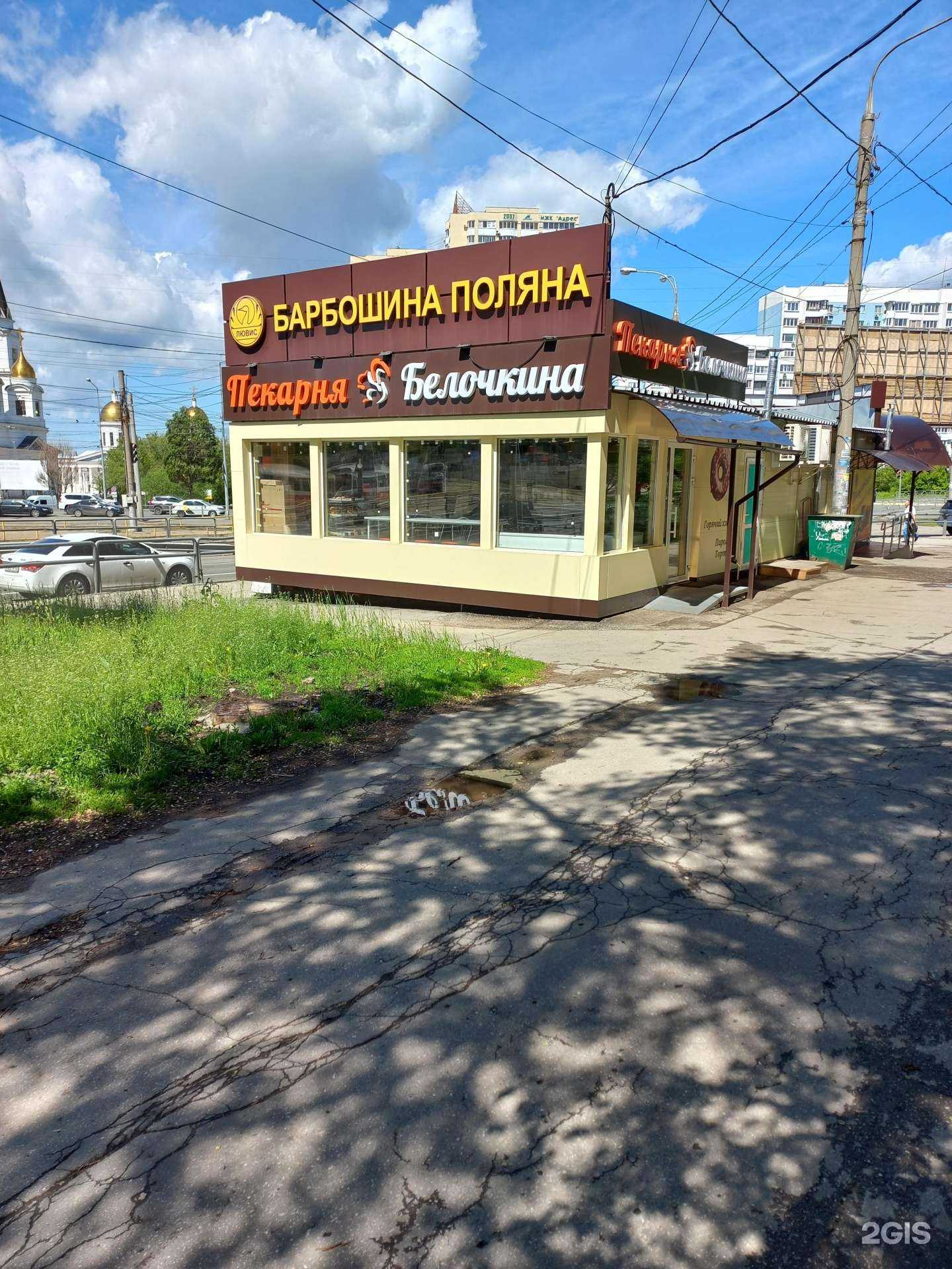 Отзывы на компанию Белочка в Самаре c фото