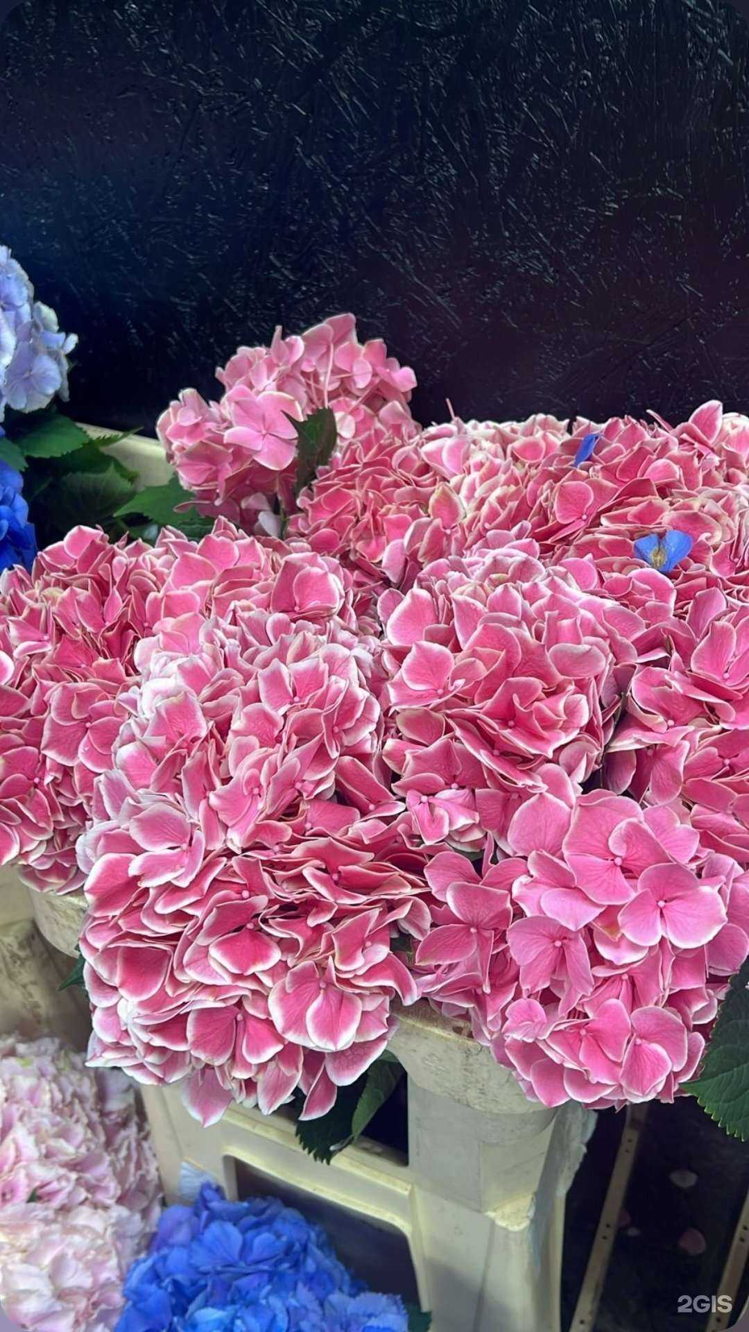 Отзывы на компанию 24 в Люберцах c фото - фотография 2 из 2