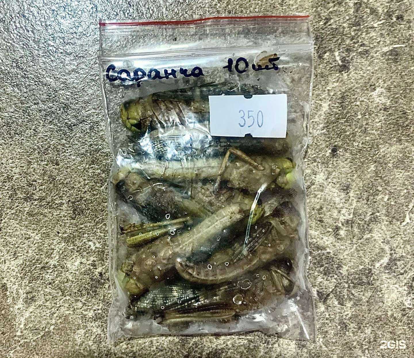 Отзывы на компанию Зоолавка в Петропавловске-Камчатском c фото