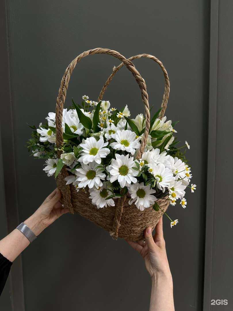 Отзывы на компанию Розовый слон в г. Йошкар-Ола c фото