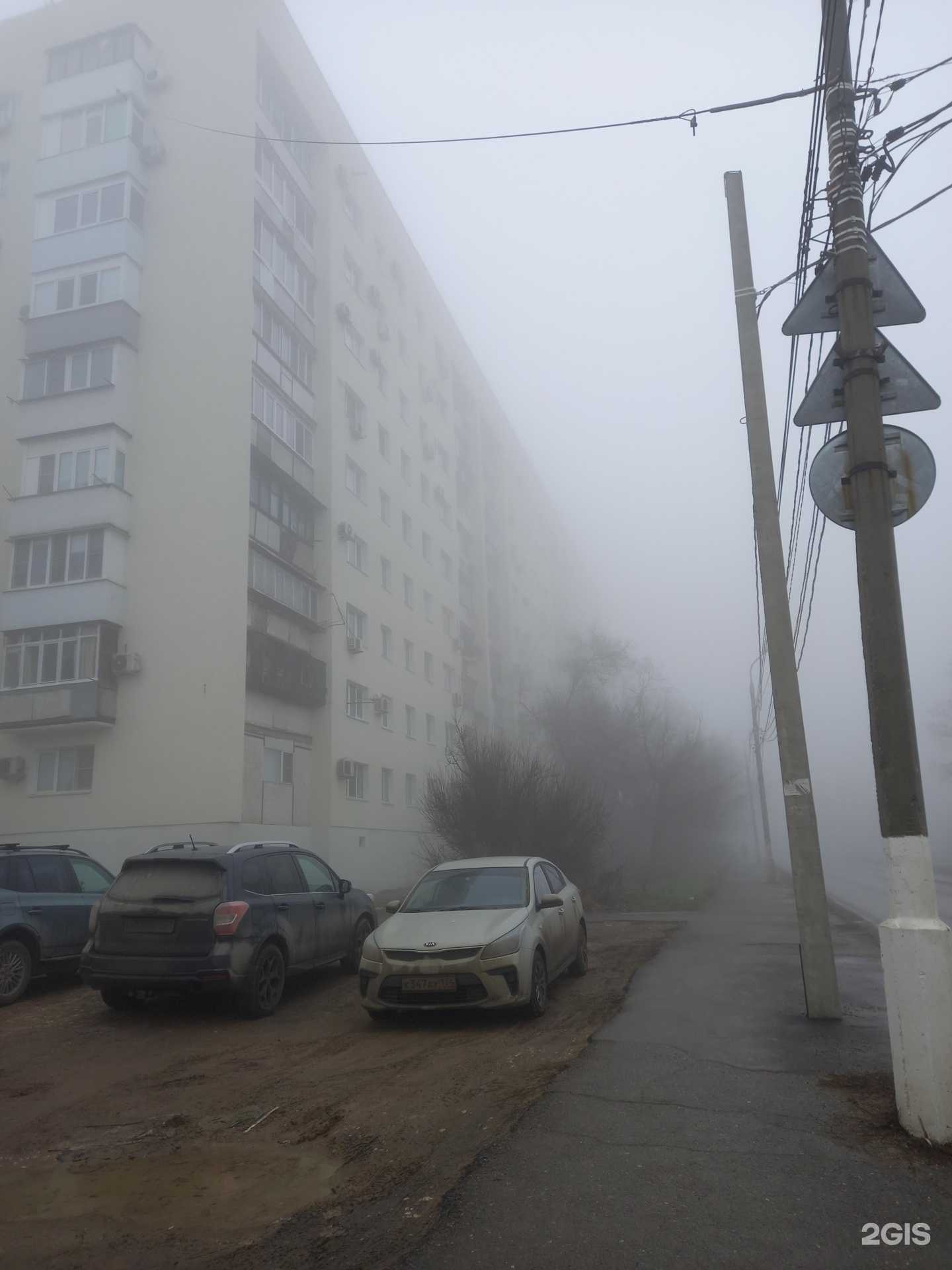 Отзывы на компанию Дружок пирожок в г. Волгоград c фото