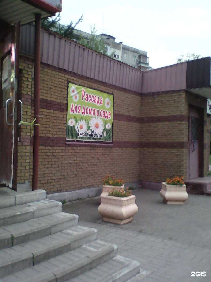 Отзывы на компанию Магазин цветов в Нижнем Новгороде c фото - фотография 2 из 2