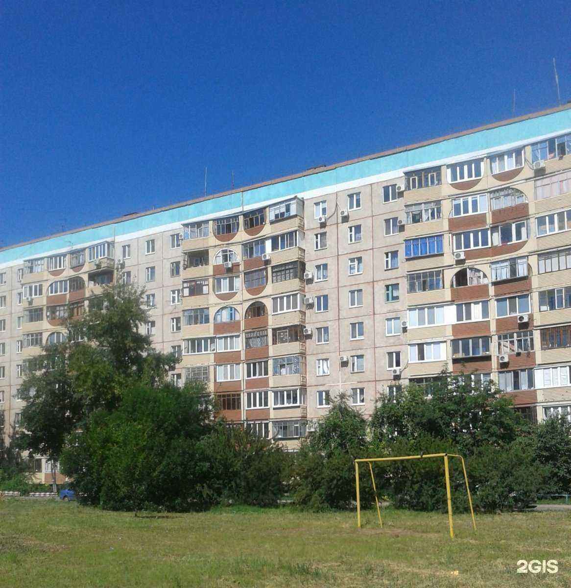 Отзывы на компанию ОренВет в Оренбурге c фото - фотография 2 из 2