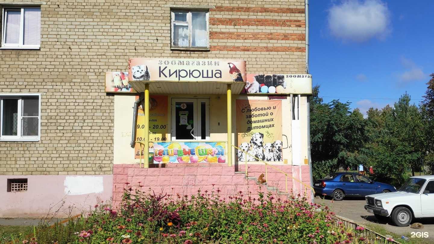 Отзывы на компанию Кирюша в г. Орёл c фото