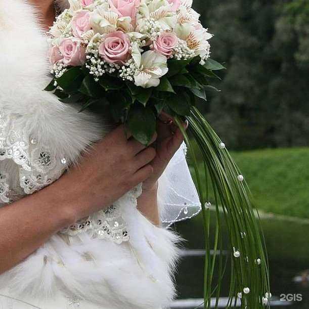 Отзывы на компанию Анэлия в Ноябрьске c фото