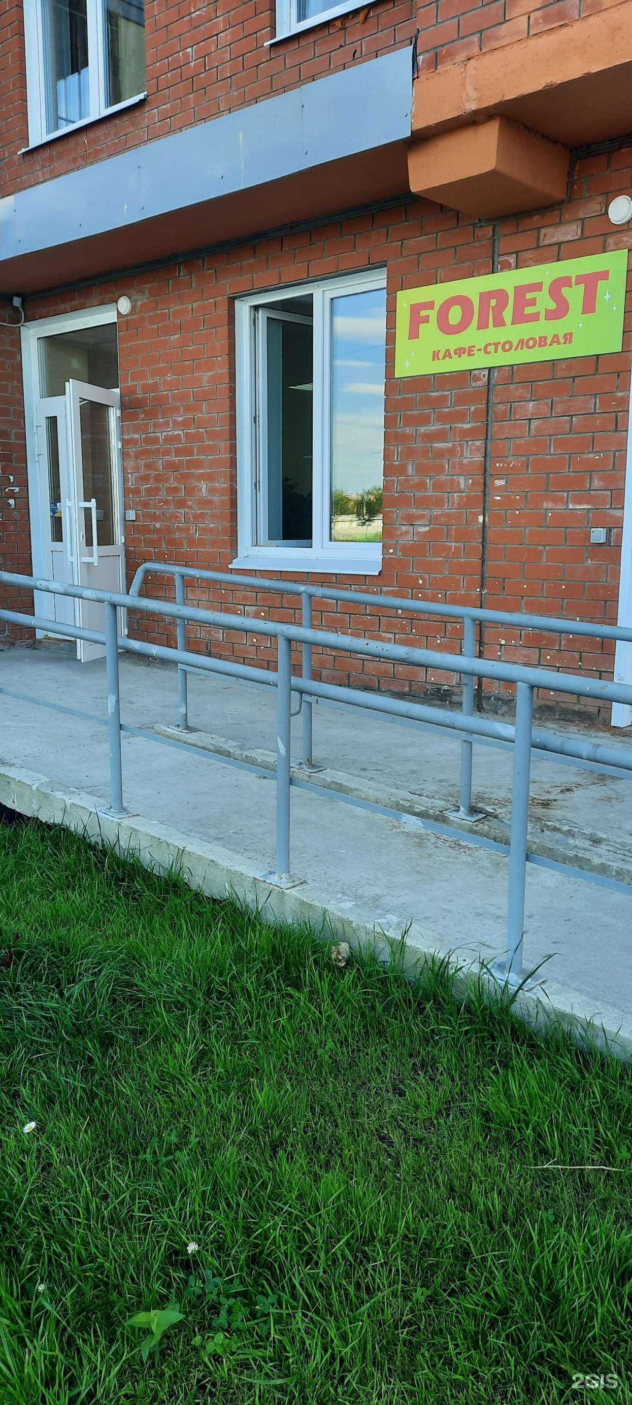 Отзывы на компанию Forest в г. Березники c фото