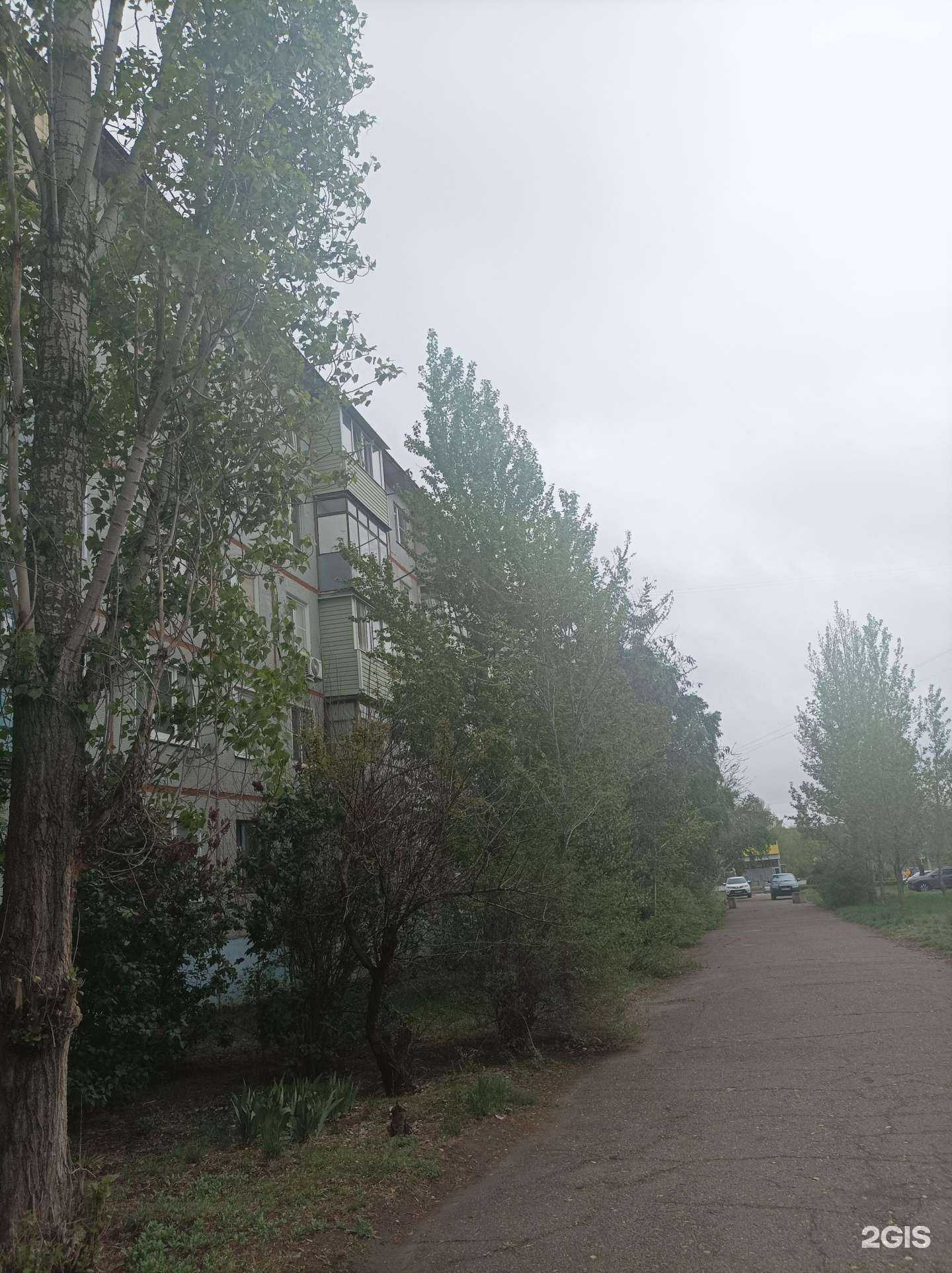 Отзывы на компанию Дельта в Камышине c фото - фотография 2 из 2