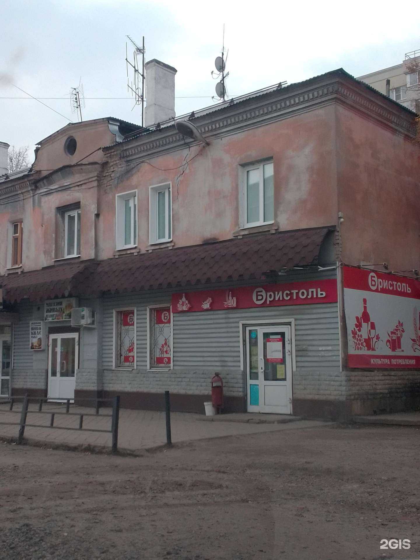 Отзывы на компанию Кот Леопольд в Иванове c фото - фотография 2 из 2