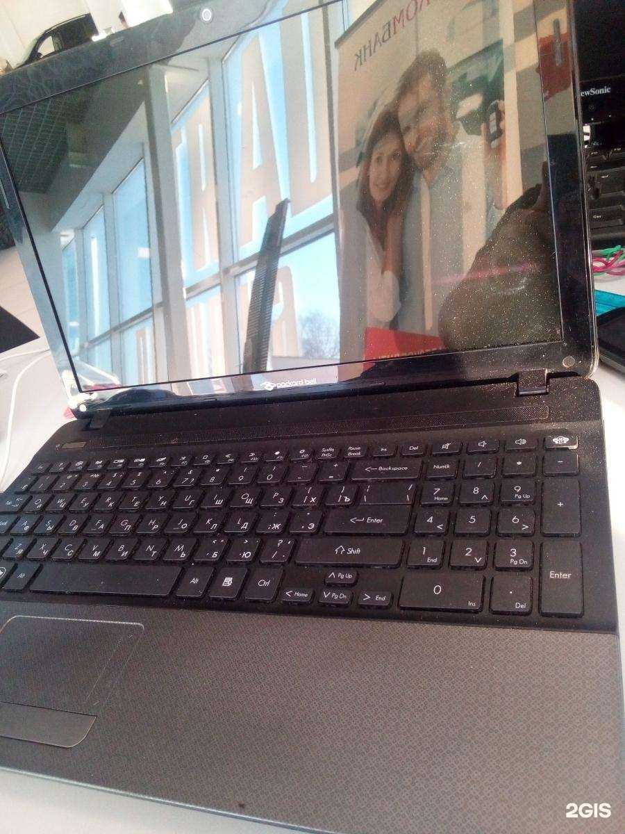 Отзывы на компанию Zebra в г. Новосибирск c фото