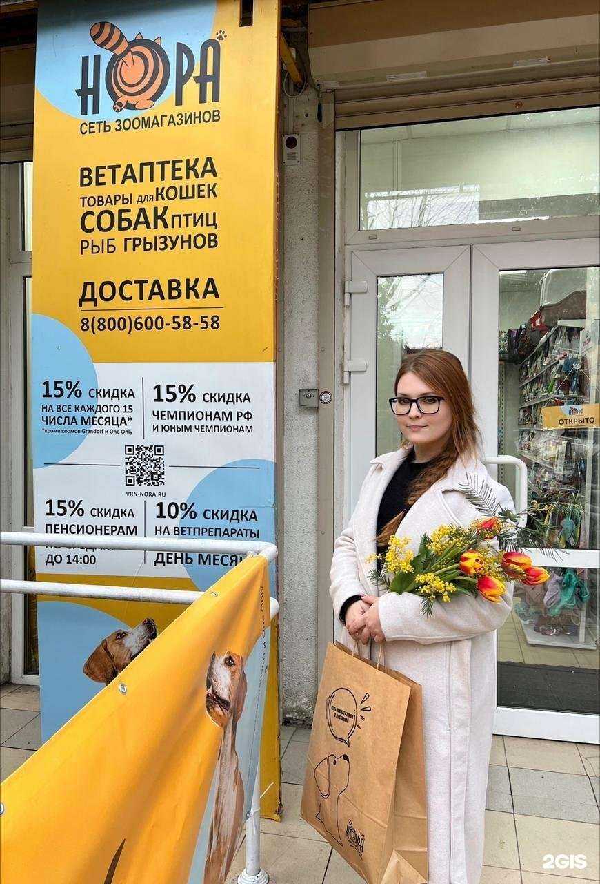 Отзывы на компанию Нора в Сочи c фото