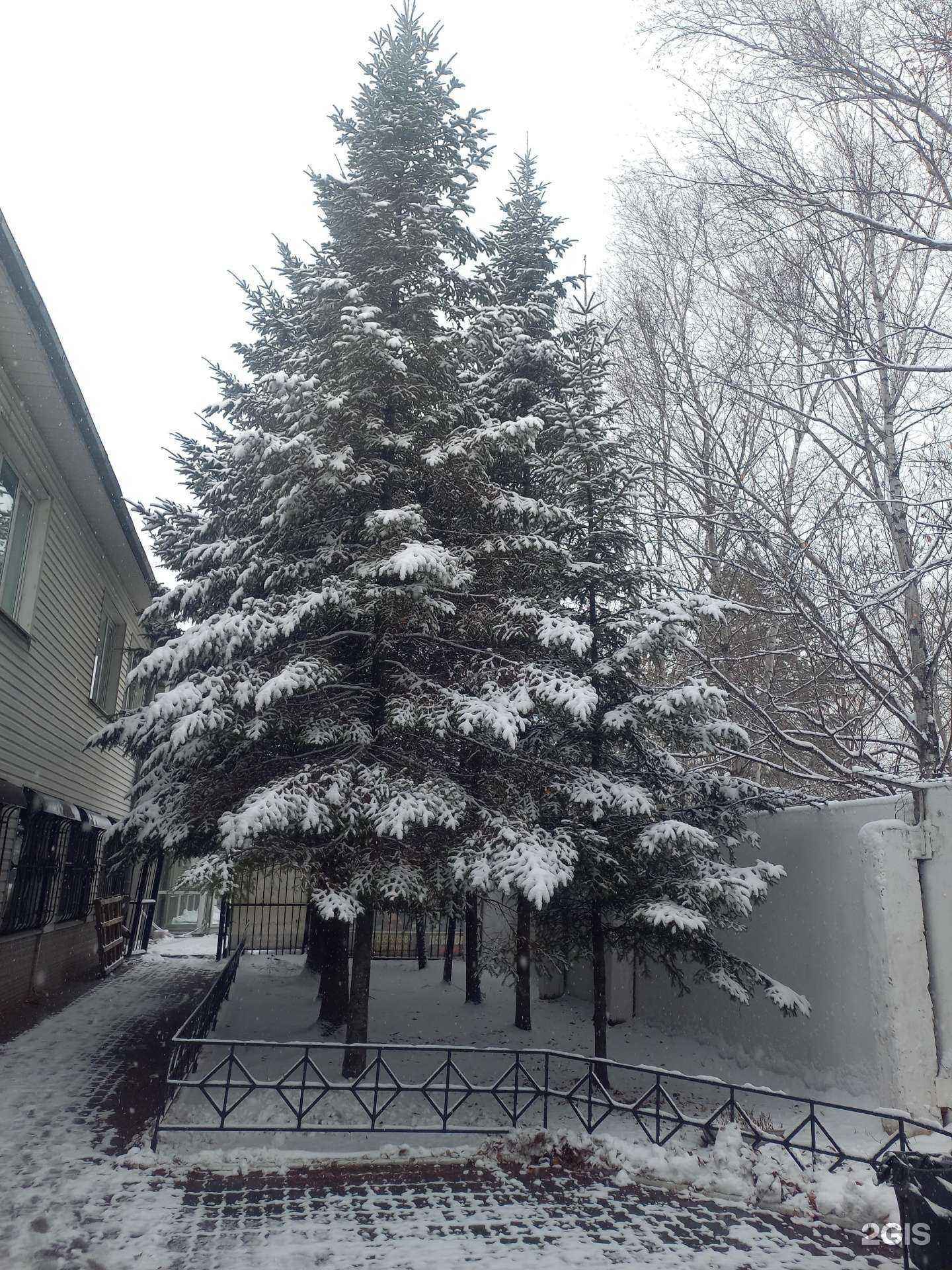 Отзывы на компанию Шелковое тело в Хабаровске c фото