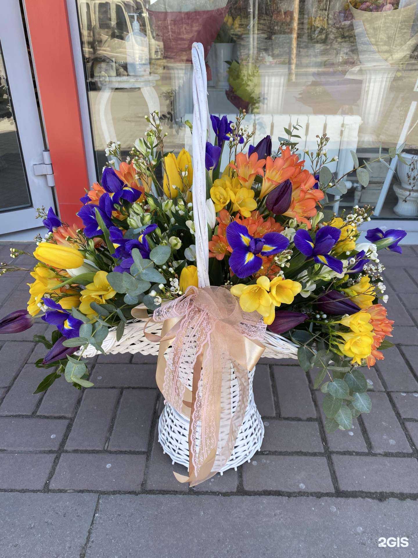 Отзывы на компанию Август в Ростове-на-Дону c фото